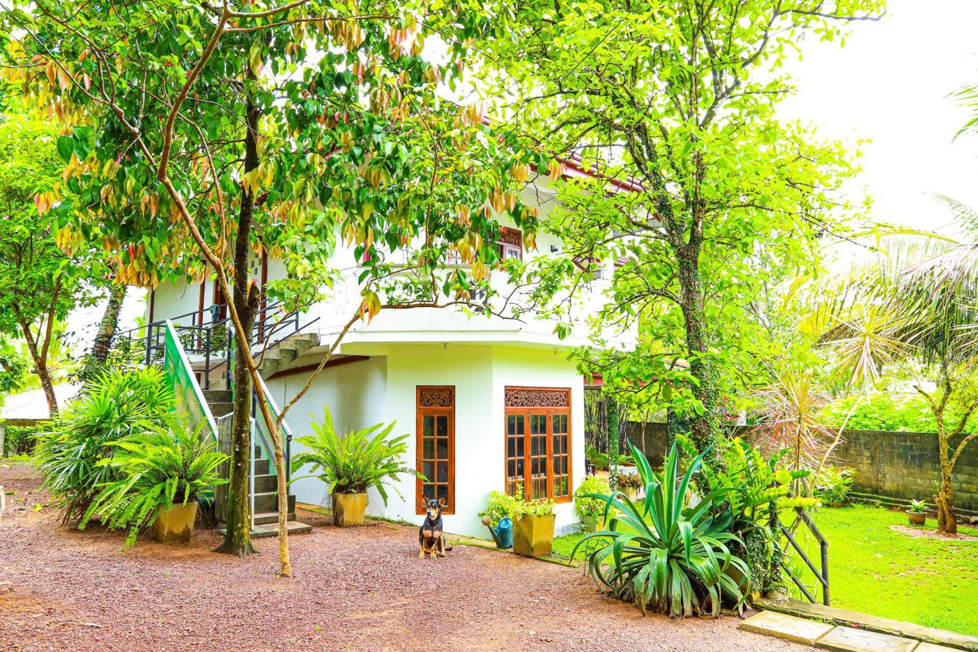 Dil'S Place Beruwala Exterior foto